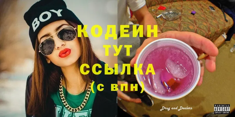 сколько стоит  Олонец  Кодеин Purple Drank 